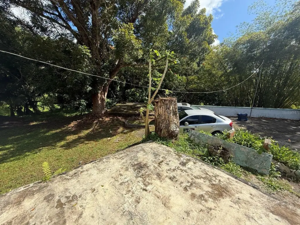 Picture 5