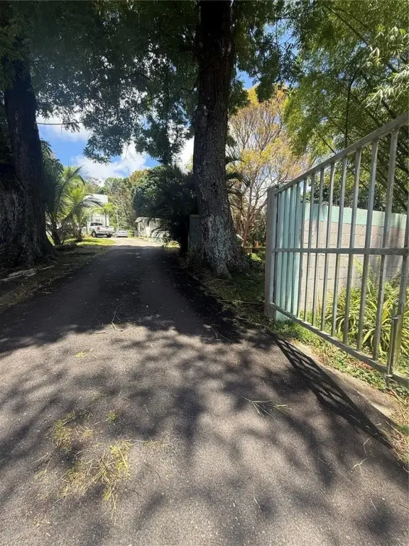 Picture 20