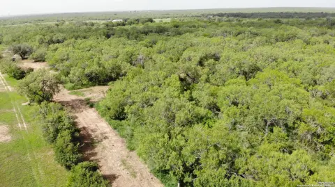 Land in Christine, Texas