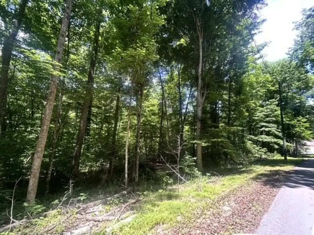 Picture 3