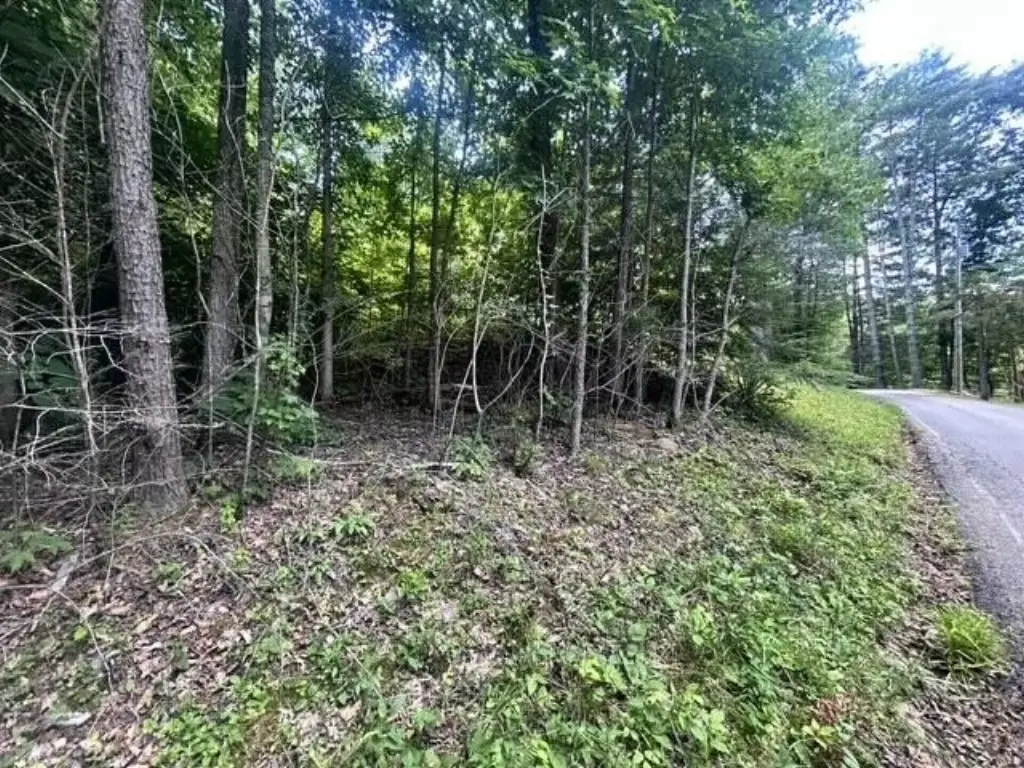 Picture 6
