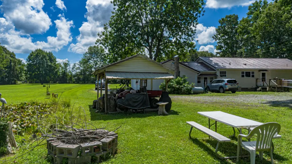 Picture 41