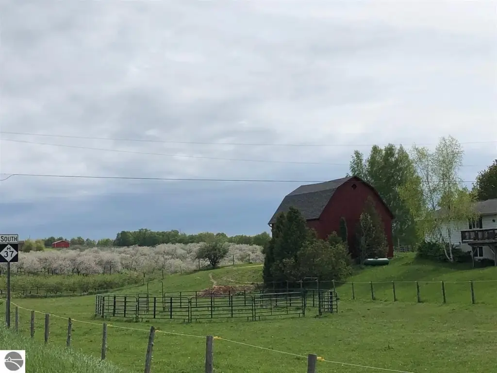 Picture 4