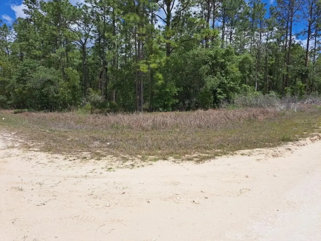 Picture 5