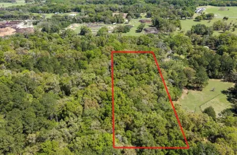 Wooded Land Parcel in Ocala
