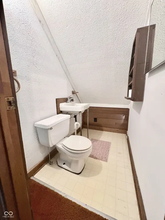 Picture 19