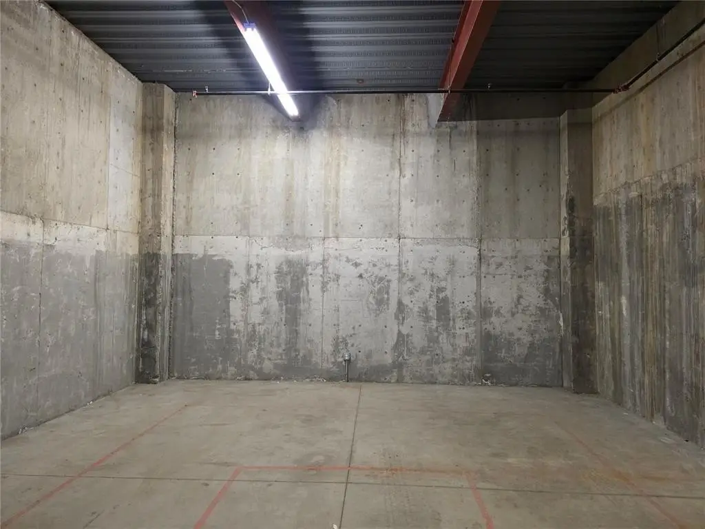 Picture 8