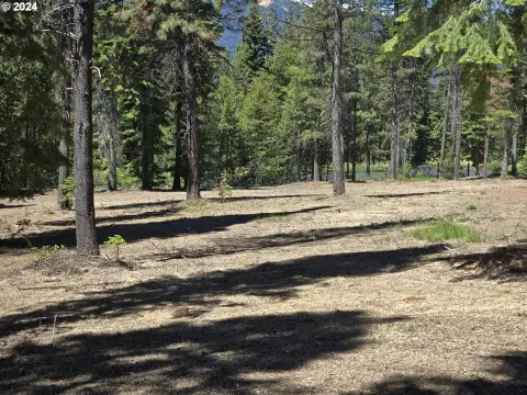 Land Backing to Forestland