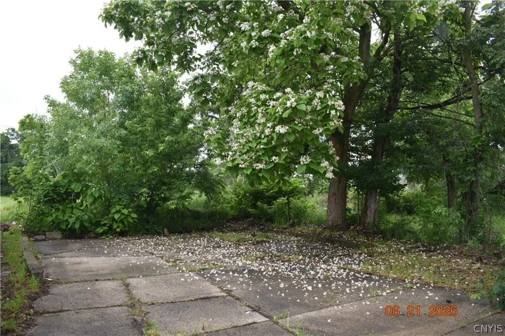 Picture 5