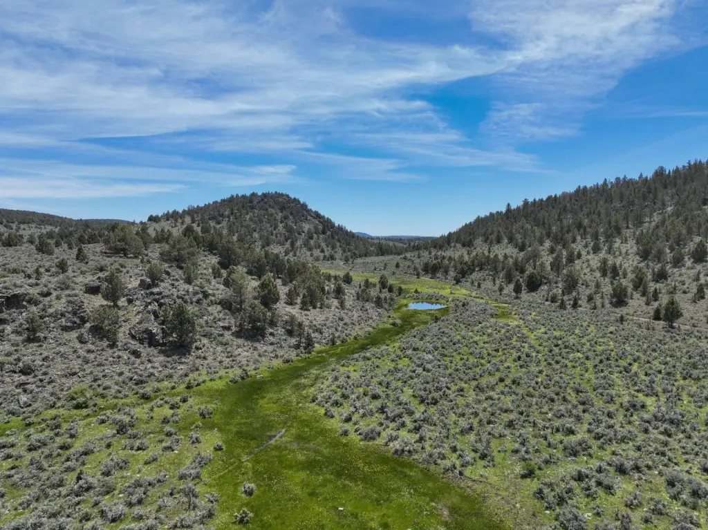 Picture 56