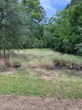 Vacant Land in Midway, GA