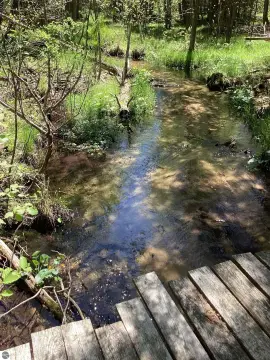 15 Acres with Creek Frontage