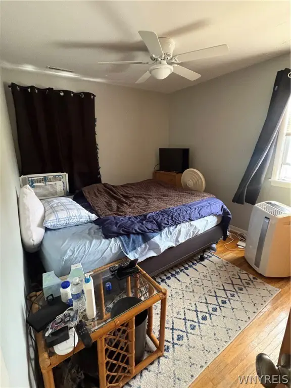 Picture 19