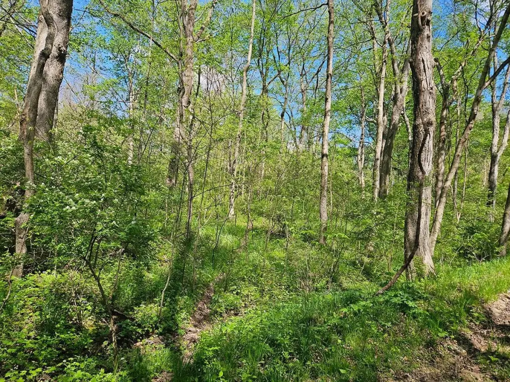 Picture 19