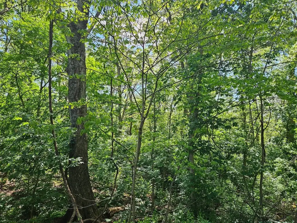 Picture 21