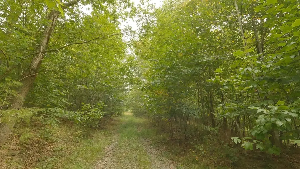 Picture 25