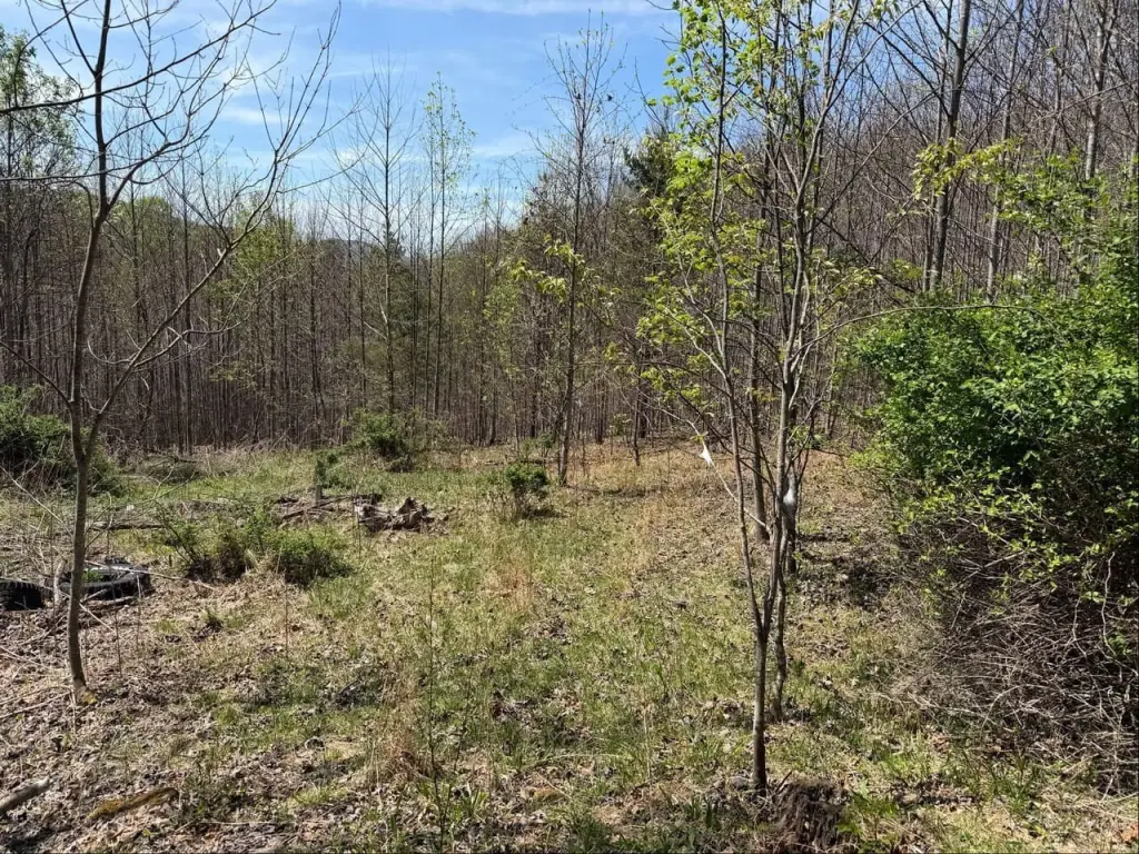 Picture 17