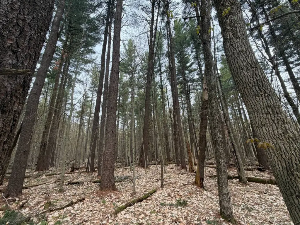 Picture 30