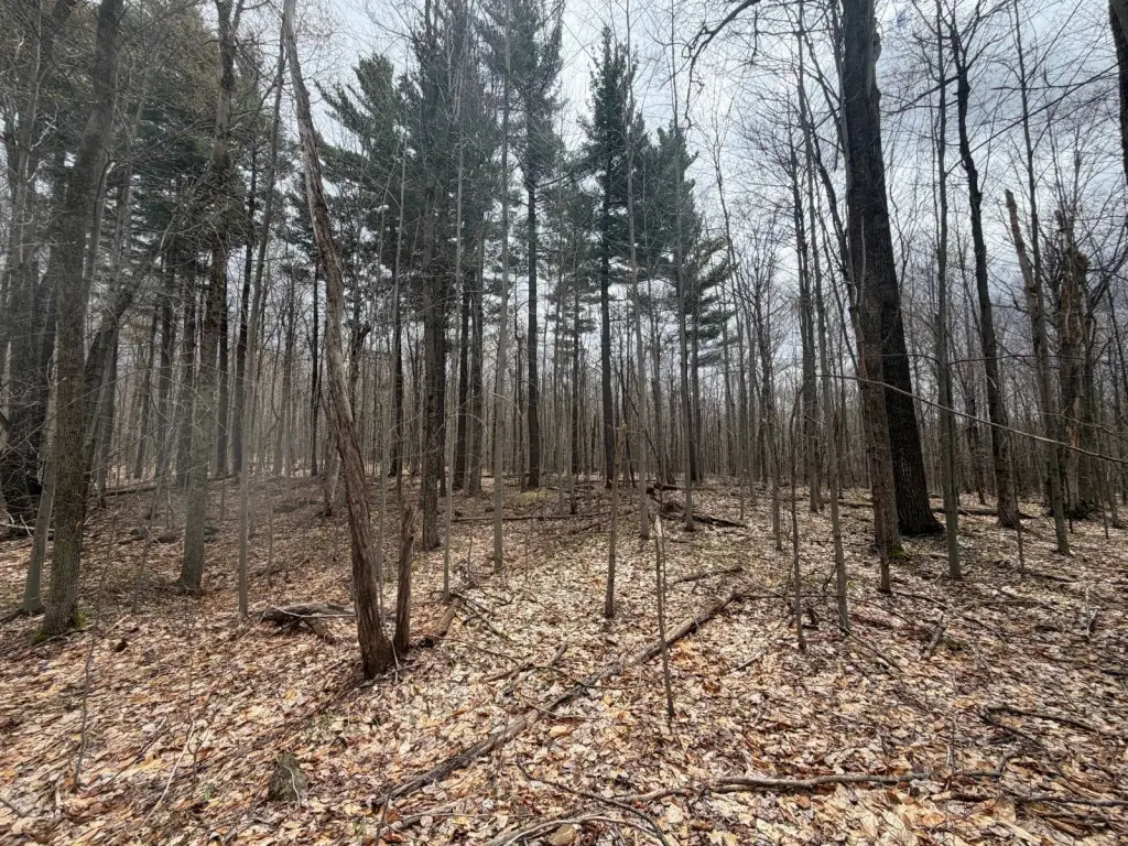 Picture 19