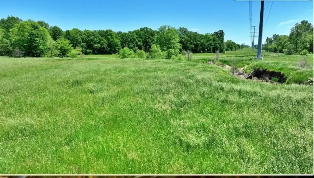 Picture 16