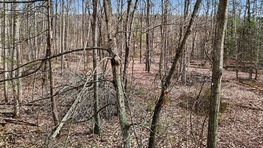 Picture 23