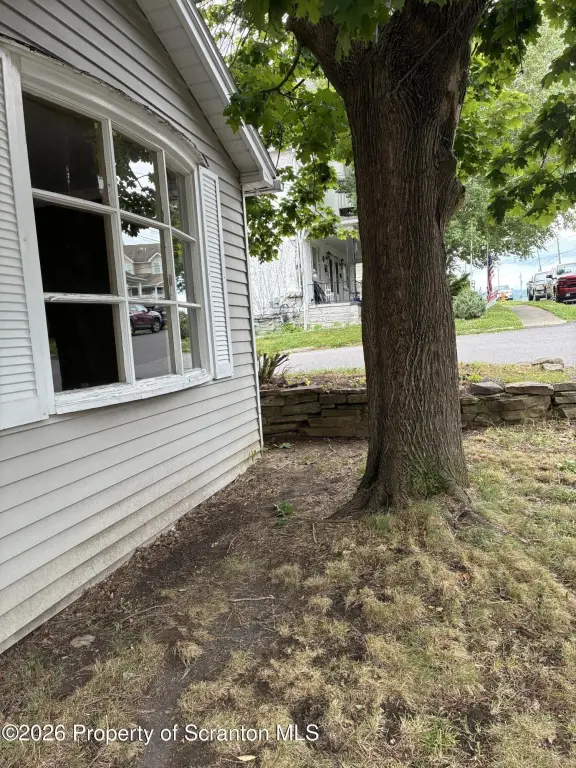 Picture 5
