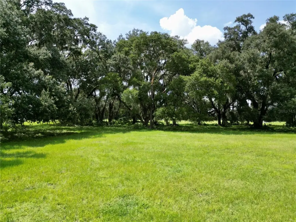 Picture 21