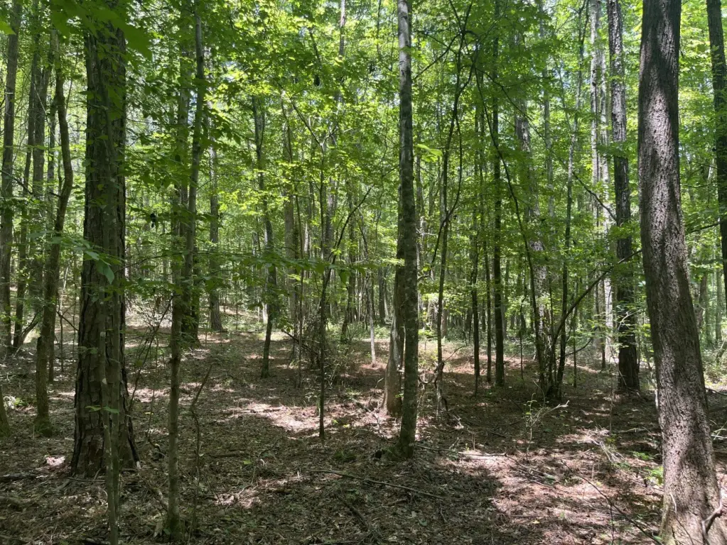 Picture 9