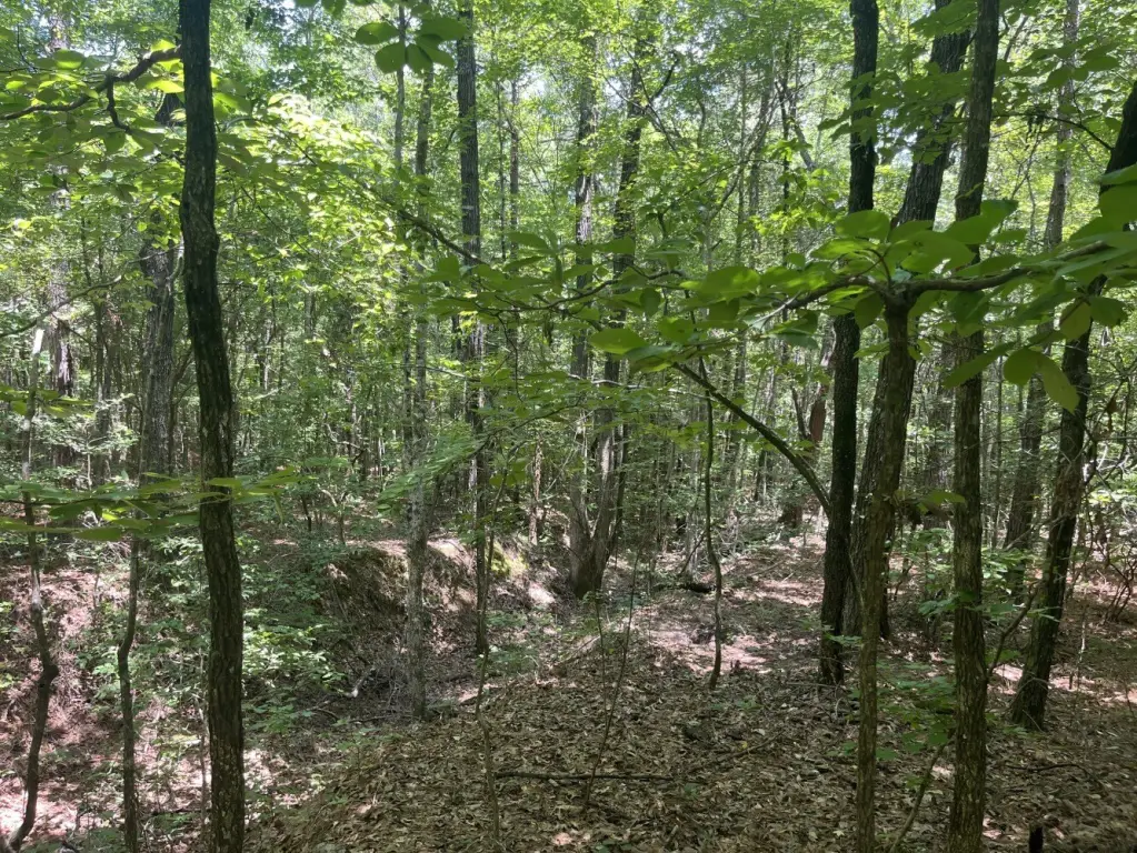 Picture 15