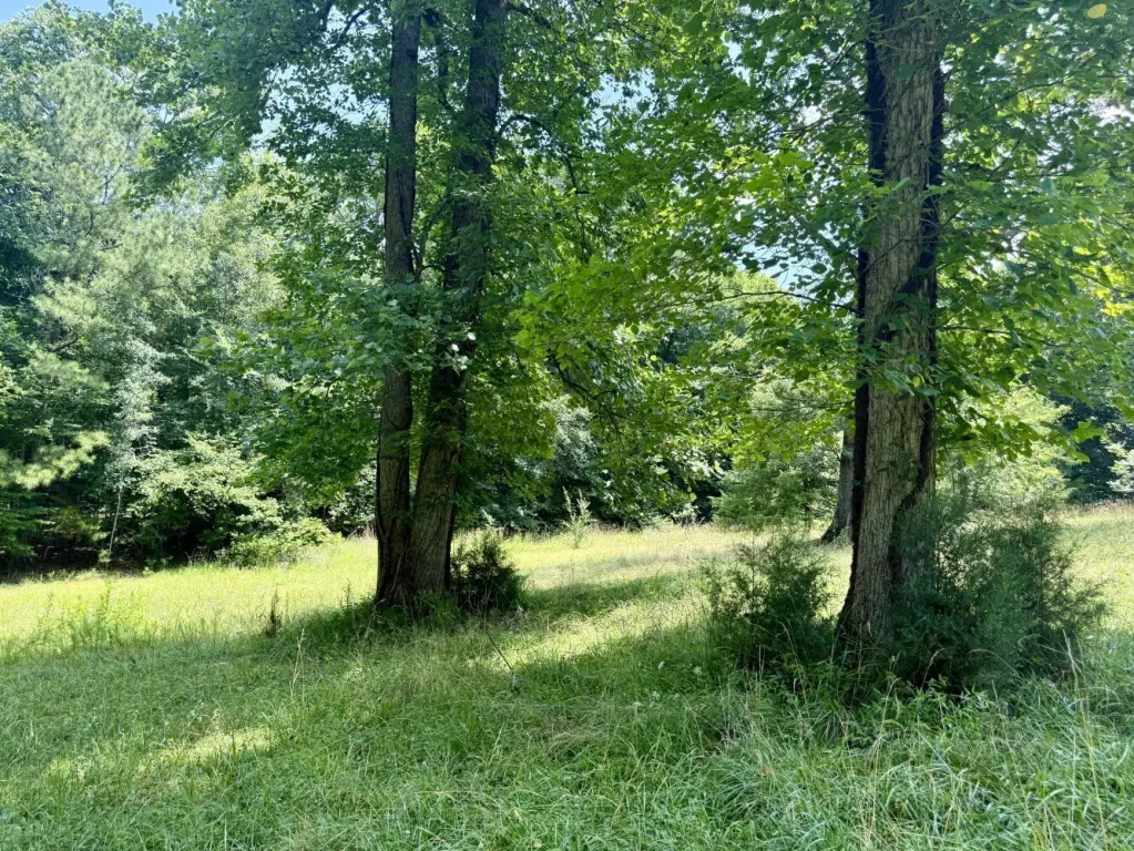Picture 26