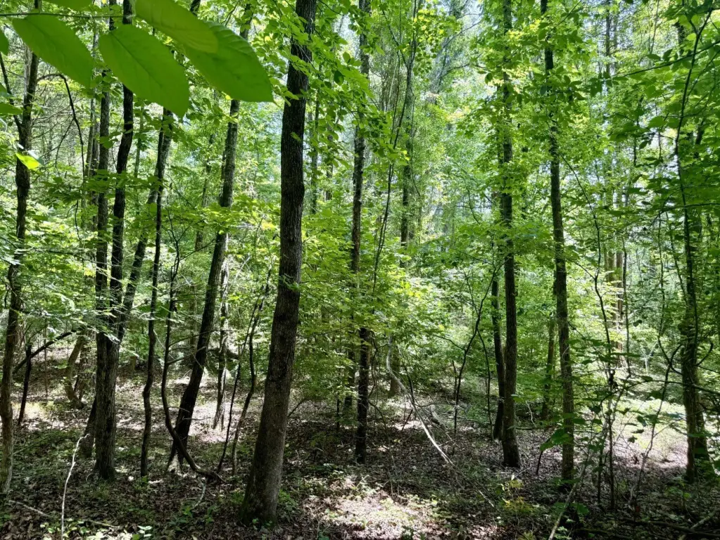 Picture 14