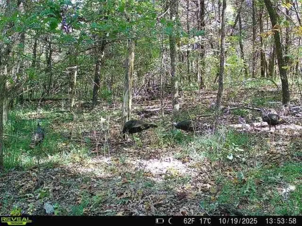 Picture 4