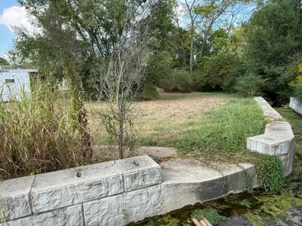 Picture 6