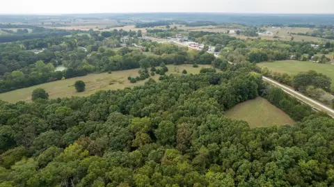 76 Acres of Timber Land