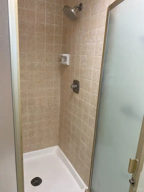 Picture 41