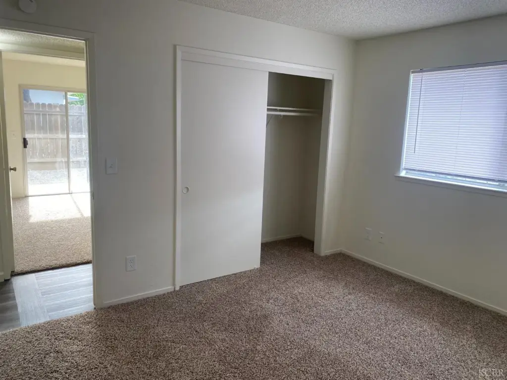 Picture 42