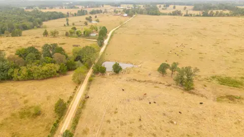52 Acre Pasture Land
