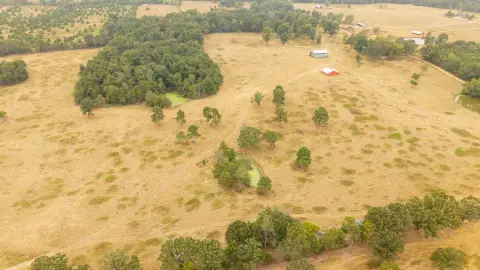 38 Acre Improved Pasture Land