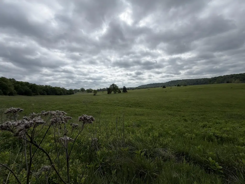 Picture 12