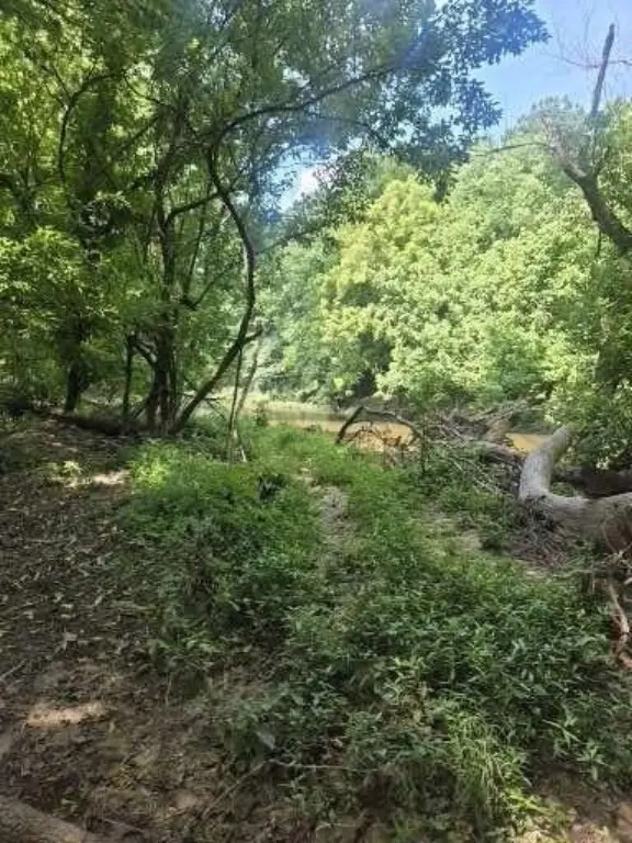 Picture 12