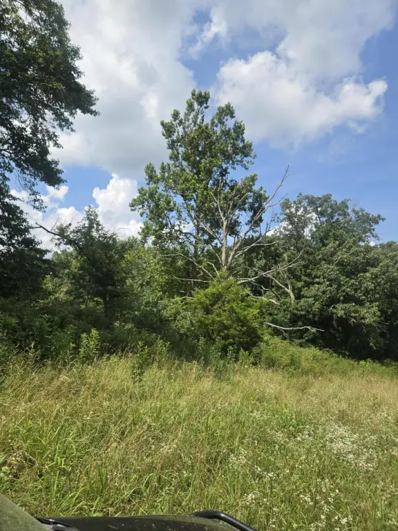 Picture 39
