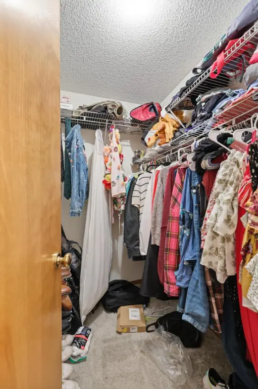 Picture 36
