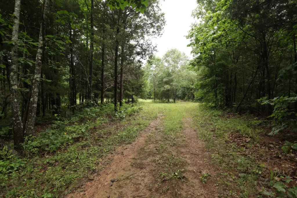 Picture 42