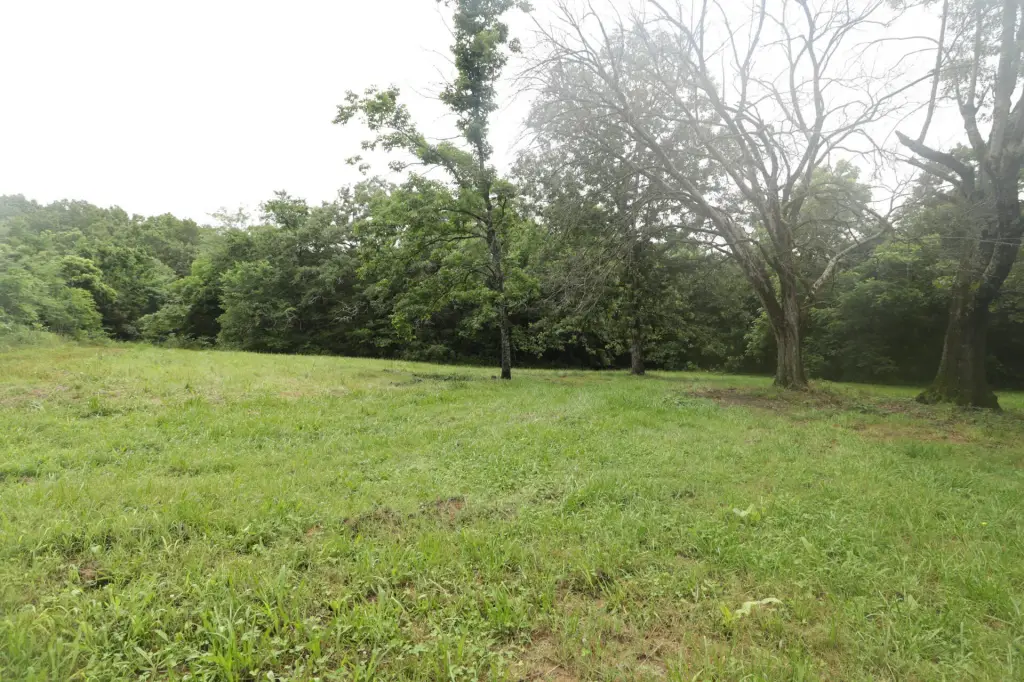Picture 23
