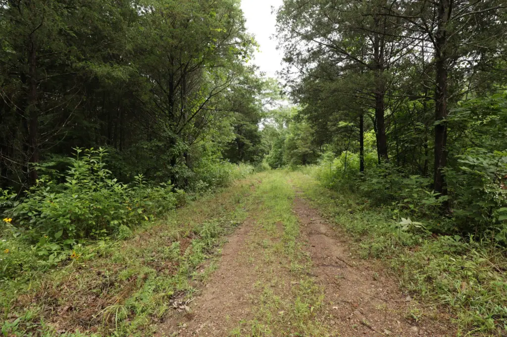Picture 40