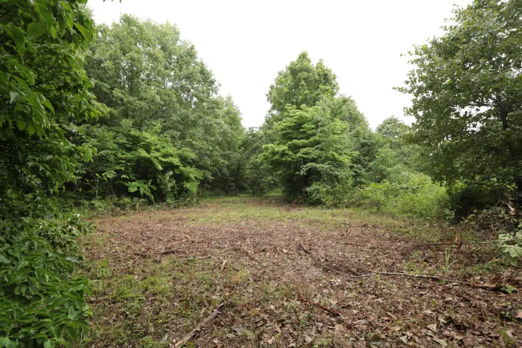 Picture 33