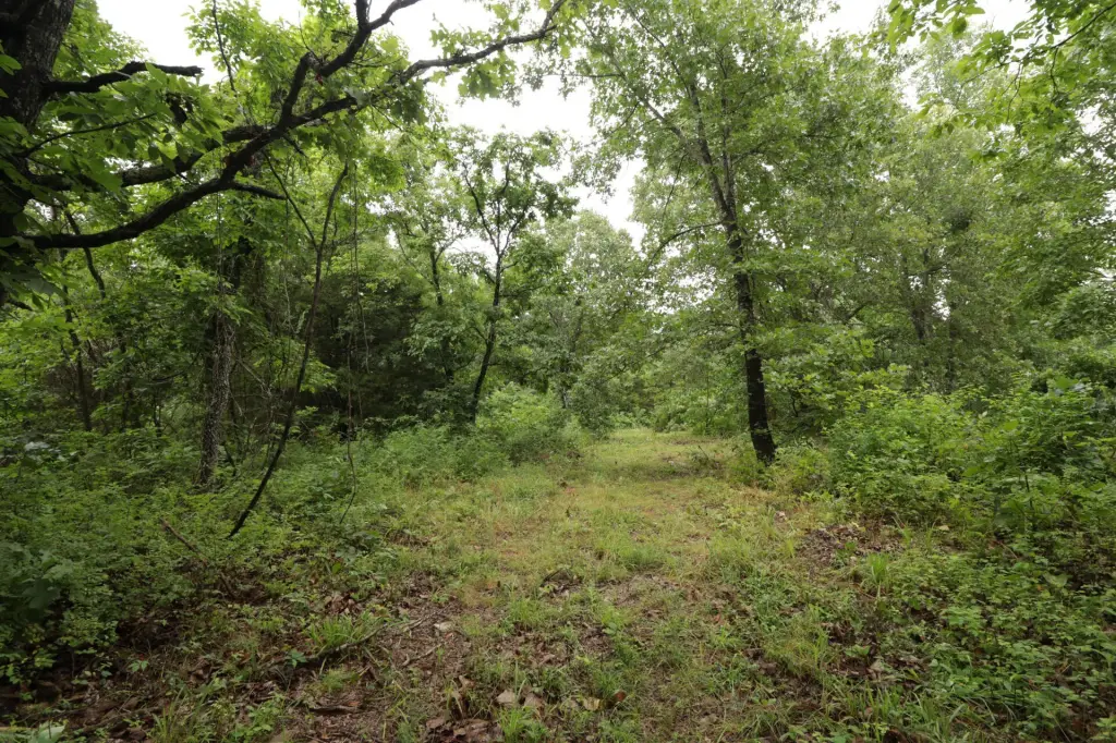 Picture 32