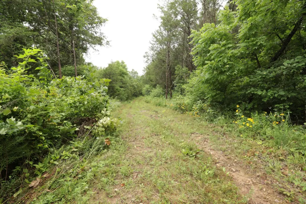 Picture 41