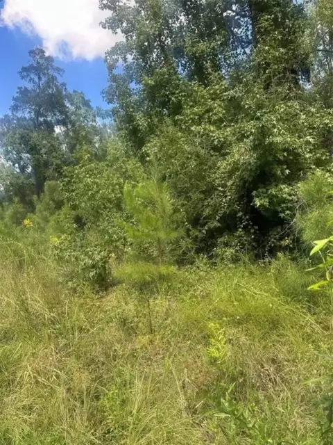 Unimproved Land in Jonesboro, LA