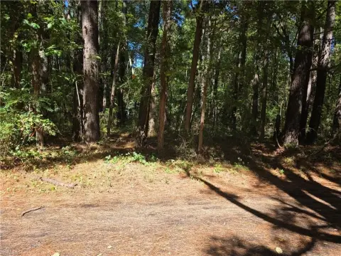 Wooded Commercial Land